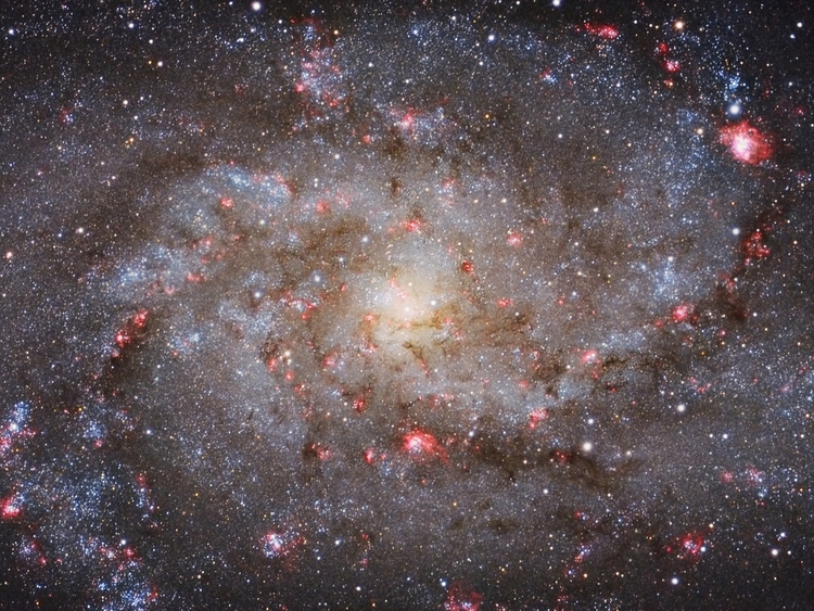 "M33", zwycięzca kategorii "Galaktyki", fot. Michael van Doorn